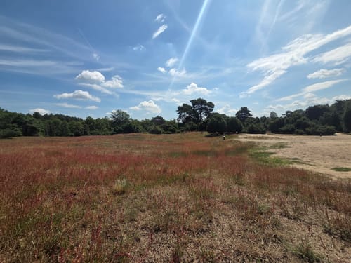 Westruper Heide und Halterner Stausee Rundweg