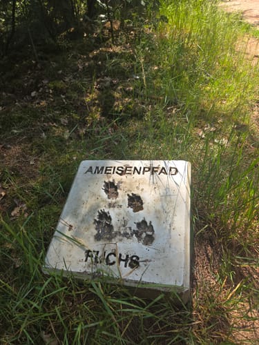 Schermbeck: Auf dem Ameisenpfad