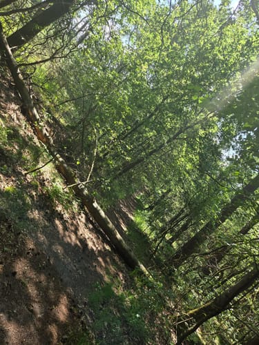 Westruper Heide und Halterner Stausee Rundweg