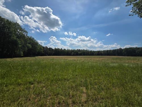 Westruper Heide und Halterner Stausee Rundweg