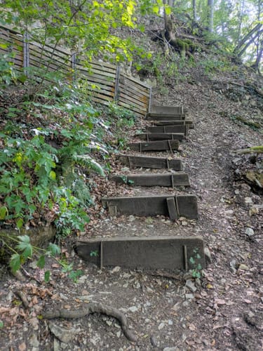 Dreifürstensteig (Premiumwanderweg)