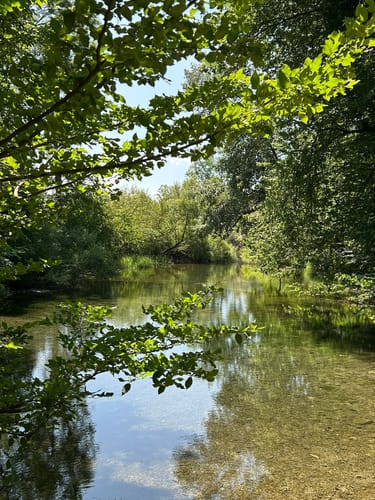 Rhein-Burg Sponeck-Burgheim-Jechtingen