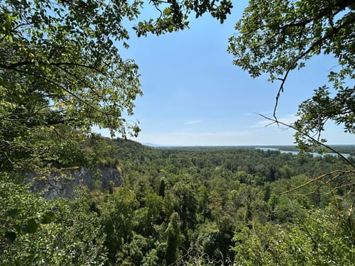 Rhein-Burg Sponeck-Burgheim-Jechtingen