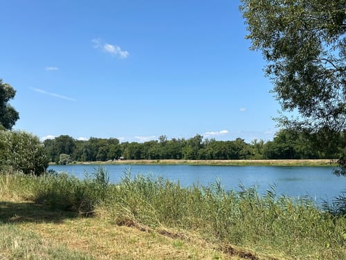 Rhein-Burg Sponeck-Burgheim-Jechtingen