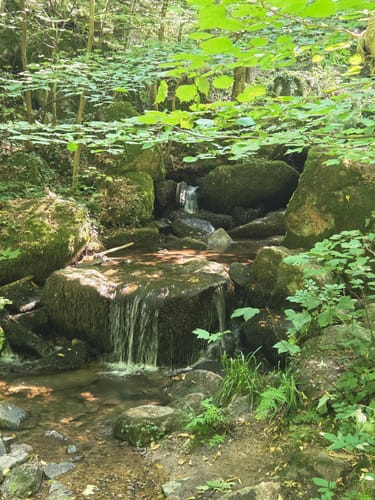 Entlang der Gaishöll Wasserfälle