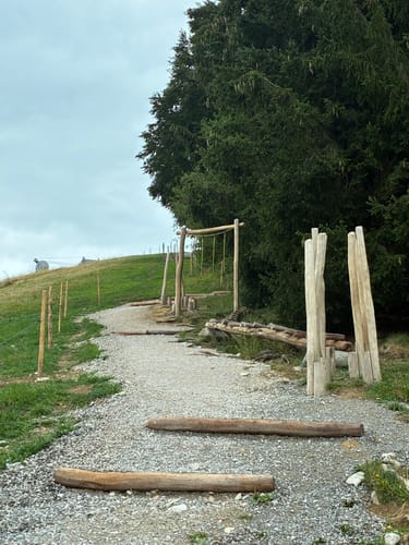 Buchenberg-Rundweg