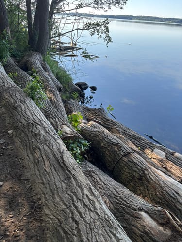 Noorwanderweg