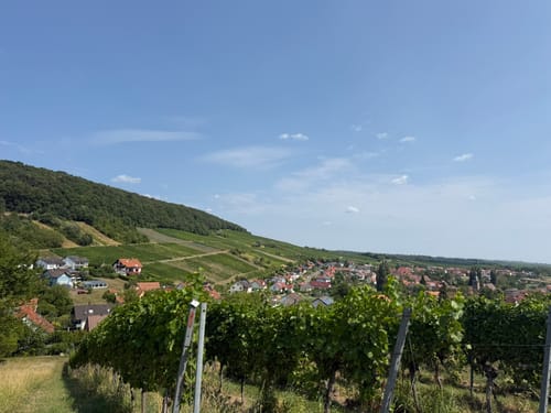 Liebfrauenberg-Runde