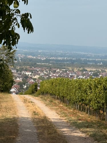 Über den Tüllinger Berg