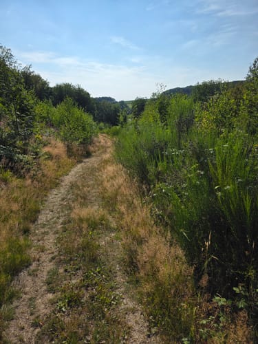 Rundweg A2 (Hückeswagen)