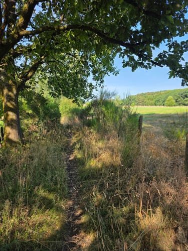 Rundweg A2 (Hückeswagen)