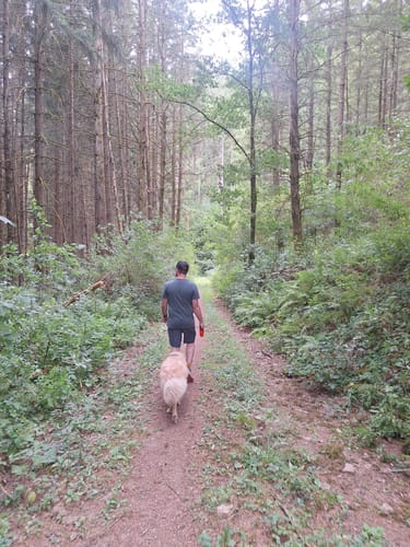 Naturpark Südeifel Wanderweg Nr. 32 - Übereisenbach - Obereisenbach