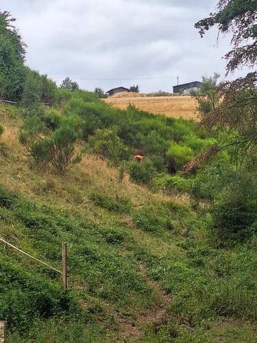 Naturpark Südeifel Wanderweg Nr. 32 - Übereisenbach - Obereisenbach