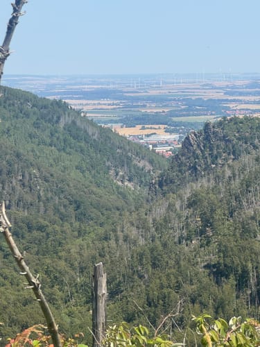 Durch das Ilsetal zur Plessenburg
