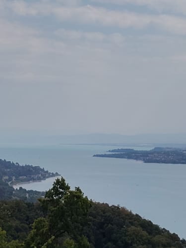 Blütenweg Sipplingen