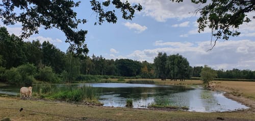 Teverener Heide Seenrundweg