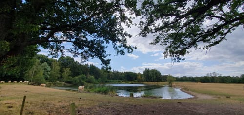 Teverener Heide Seenrundweg