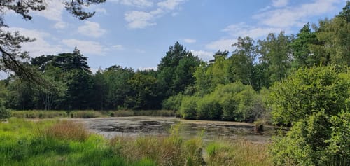 Teverener Heide Seenrundweg