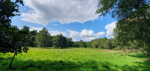 Teverener Heide Seenrundweg