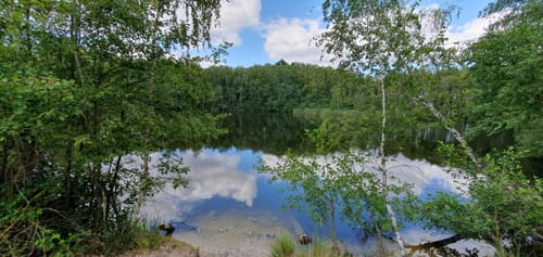 Teverener Heide Seenrundweg