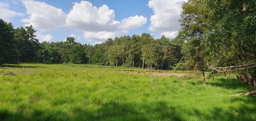 Teverener Heide Seenrundweg