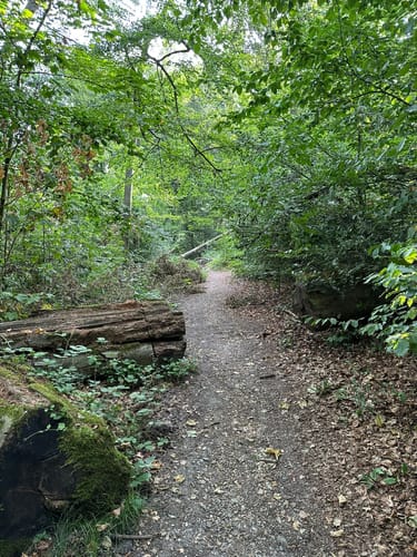 Gerresheim: Rotthäuser Bachtal