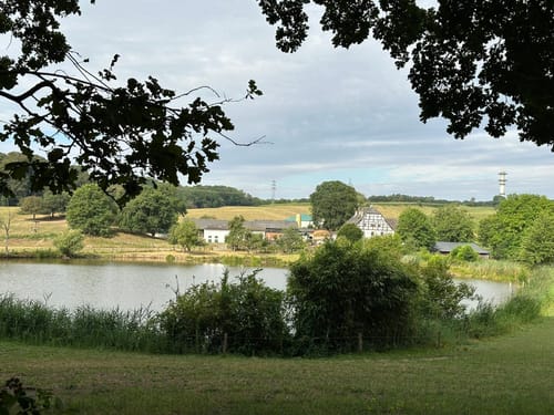 Gerresheim: Rotthäuser Bachtal