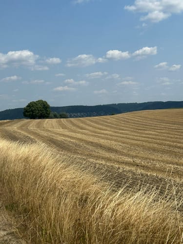 Schlichemklamm Rundstrecke
