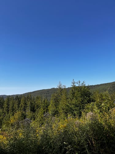 Kleiner Feldberg, Großer Zacken und Weilsberg