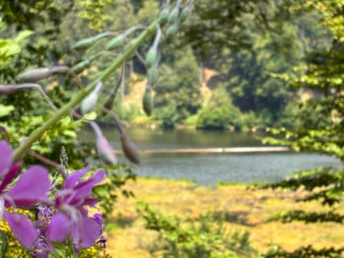 Nonnenmattweiher ab Kreuzweg