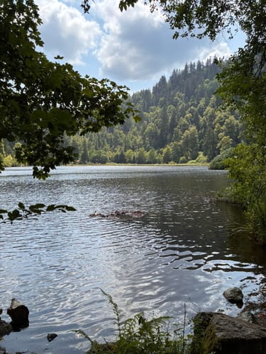 Nonnenmattweiher ab Kreuzweg
