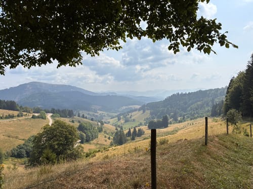 Nonnenmattweiher ab Kreuzweg