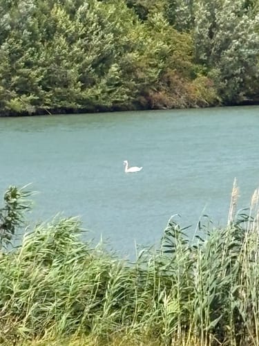 Löwenstein und Breitenauer See