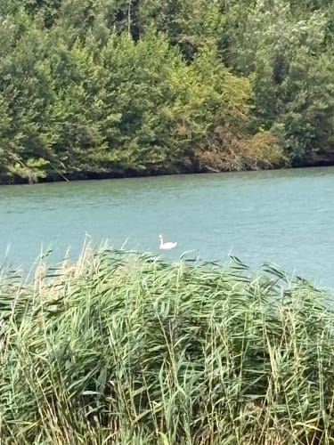 Löwenstein und Breitenauer See