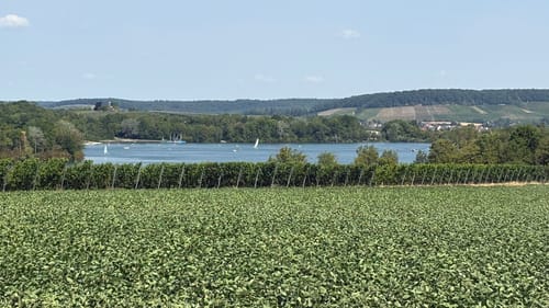 Löwenstein und Breitenauer See