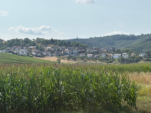 Löwenstein und Breitenauer See