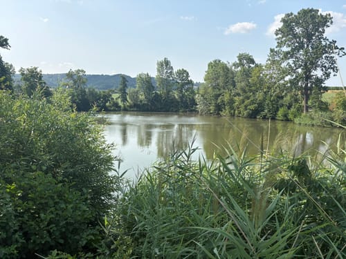 Löwenstein und Breitenauer See