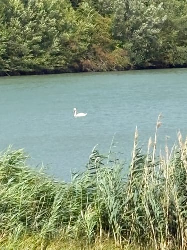 Löwenstein und Breitenauer See