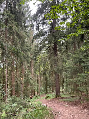 Leitenwaldrunde 23