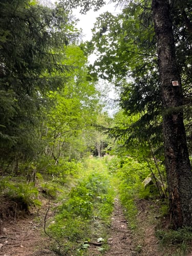 Leitenwaldrunde 23