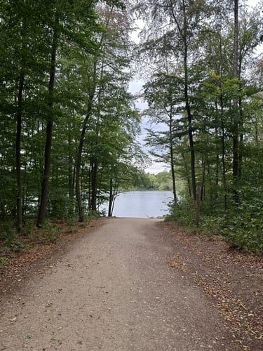 Um den Heider Bergsee