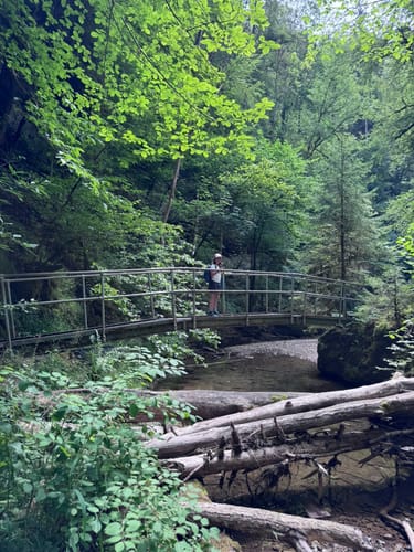 Gauchachschlucht (Genießerpfad)