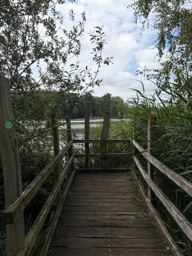 Wartha Teichrunde