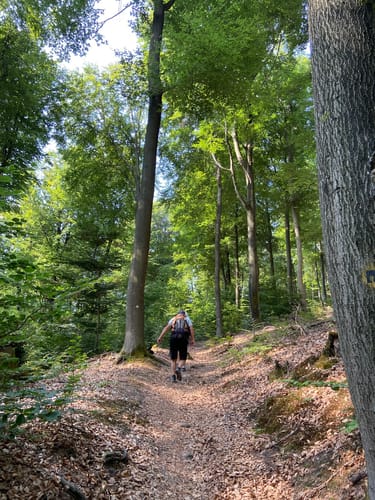 Höningen: Rundwanderweg 3