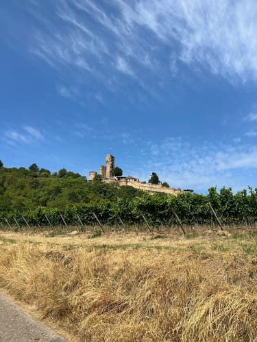 Von Forst zum Basaltsee und der Michaelskapelle