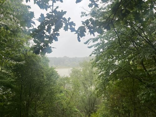 Durch das Naturschutzgebiet am Hornpottweg