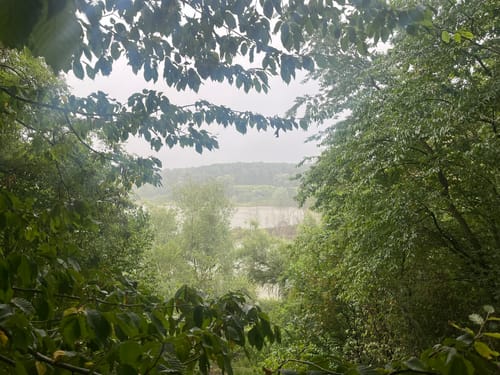 Durch das Naturschutzgebiet am Hornpottweg