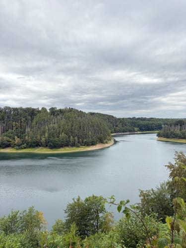 Ringelsteinweg