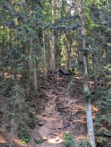 Wildes Monbachtal