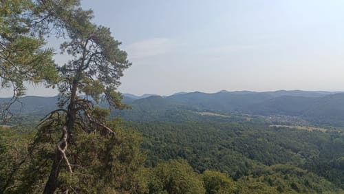 Busenberger Holzschuhpfad (Premiumwanderweg)